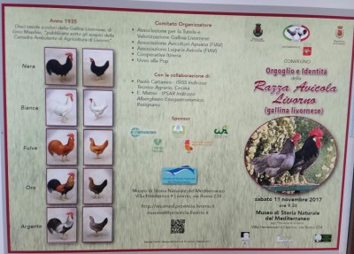 20171027_090119-1.jpg (105.38 KiB) Osservato 759 volte 20171027_090119-1.jpg