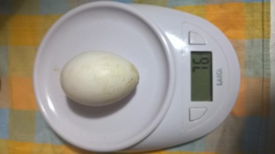 WP_20180226_18_45_37_Pro.jpg (29.64 KiB) Osservato 656 volte WP_20180226_18_45_37_Pro.jpg