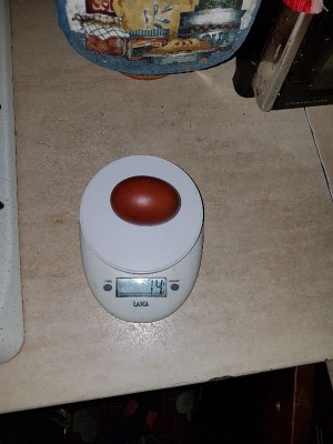 _IMG_000000_000000.jpg (72.32 KiB) Osservato 456 volte _IMG_000000_000000.jpg