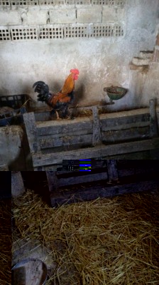 b62d9df0-0e52-4f29-8c11-a9856587d764.jpg (94.69 KiB) Osservato 1795 volte b62d9df0-0e52-4f29-8c11-a9856587d764.jpg