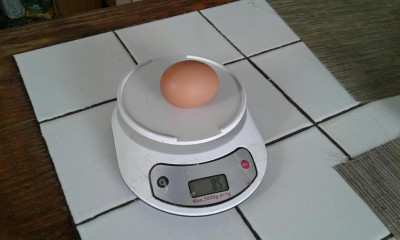 uovo Nelle 85 gr.jpg (56.06 KiB) Osservato 549 volte uovo Nelle 85 gr.jpg