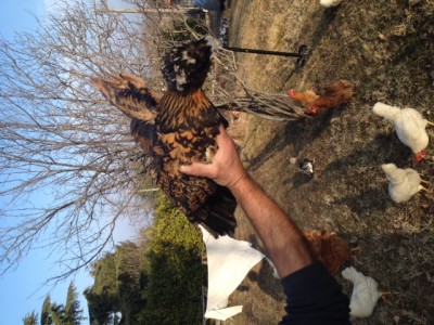 questa e giacomina / IMG_2047.JPG IMG_2047.JPG