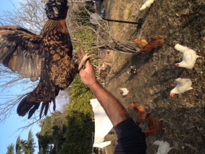 eccola / IMG_2048.JPG IMG_2048.JPG