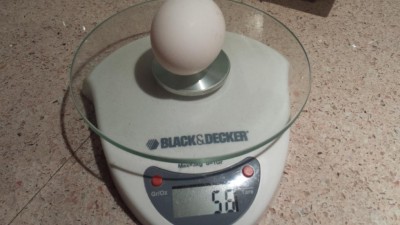 20180330_173604.jpg (64.85 KiB) Osservato 717 volte 20180330_173604.jpg