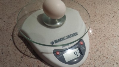 20180330_173838.jpg (56.97 KiB) Osservato 717 volte 20180330_173838.jpg