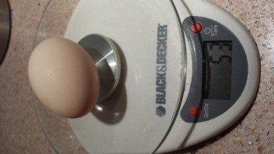 20180329_113505.jpg (45.9 KiB) Osservato 714 volte 20180329_113505.jpg