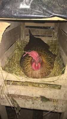 Ieri sera / WhatsApp Image 2018-03-28 at 19.36.58_576x1024.jpeg WhatsApp Image 2018-03-28 at 19.36.58_576x1024.jpeg