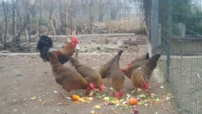 2017 / 20170221_071222_resized.jpg 20170221_071222_resized.jpg