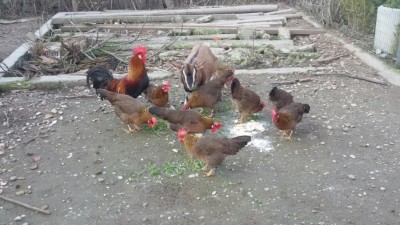 2018 / 20180210_142243_resized.jpg 20180210_142243_resized.jpg