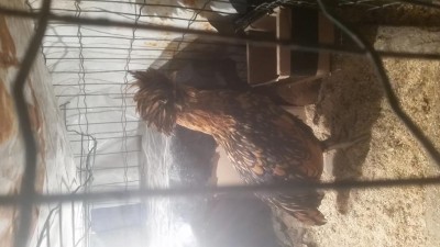 20190123_141851.jpg (70.58 KiB) Osservato 777 volte 20190123_141851.jpg