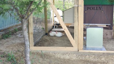 IMG_20200429_182106.jpg (141.55 KiB) Osservato 941 volte IMG_20200429_182106.jpg