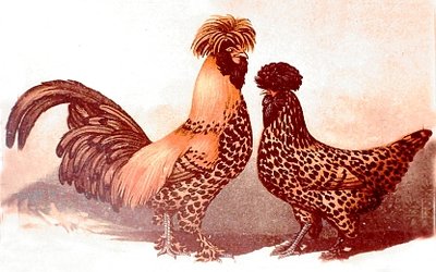 010fig010%20Pavlov%20oro.jpg (101 KiB) Osservato 1266 volte 010fig010%20Pavlov%20oro.jpg