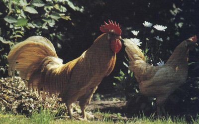 Immagine.jpg (64.98 KiB) Osservato 994 volte Immagine.jpg