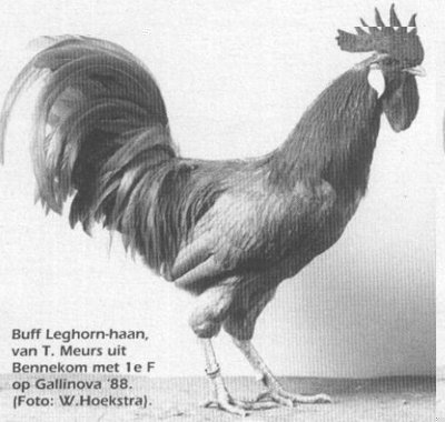 Immagine1.jpg (48.79 KiB) Osservato 994 volte Immagine1.jpg