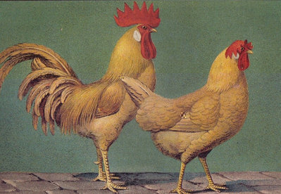 1899.jpg (78.97 KiB) Osservato 1328 volte 1899.jpg