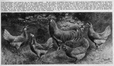 Immagine.jpg (51.19 KiB) Osservato 1295 volte Immagine.jpg