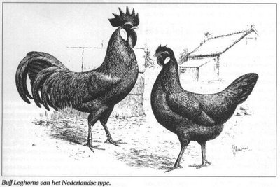 Immagine.jpg (75.88 KiB) Osservato 1293 volte Immagine.jpg