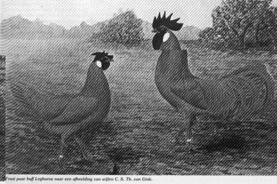 t.jpg (97.04 KiB) Osservato 1292 volte t.jpg