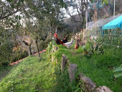 Foto 9 / 9.JPG 9.JPG