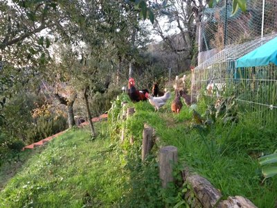 Foto 10 / 10.JPG 10.JPG