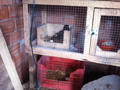 foto (1).JPG (155.16 KiB) Osservato 1986 volte foto (1).JPG