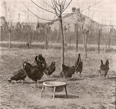 28318696.jpg (144.96 KiB) Osservato 1544 volte 28318696.jpg