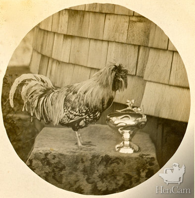 25-Version-2.jpg (290.49 KiB) Osservato 826 volte 25-Version-2.jpg