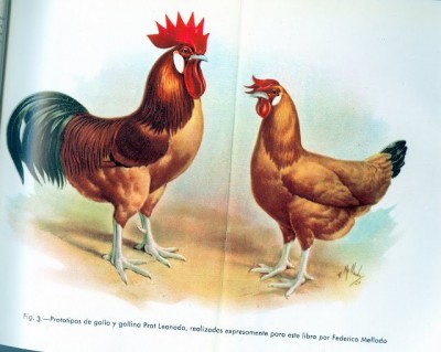 prat.jpg (61.94 KiB) Osservato 608 volte prat.jpg