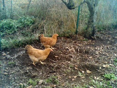 IMG00013.jpg IMG00013.jpg
