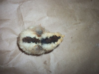 agr4.jpg (90.68 KiB) Osservato 1396 volte agr4.jpg