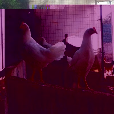 20140626_175106-1.jpg (27.2 KiB) Osservato 957 volte 20140626_175106-1.jpg