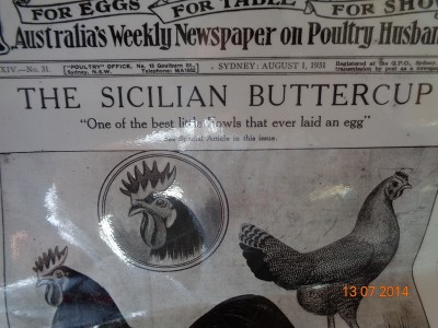 rid.2.jpg (196.05 KiB) Osservato 1392 volte rid.2.jpg