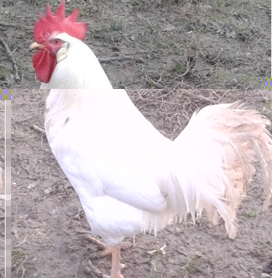 Immagine.jpg (210.5 KiB) Osservato 739 volte Immagine.jpg