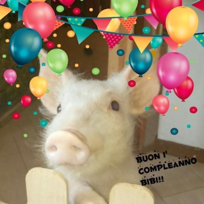 Copia di photo_1510918713123.jpg (137.48 KiB) Osservato 1101 volte Copia di photo_1510918713123.jpg