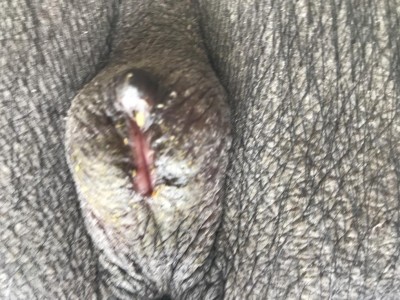 F47412B6-621F-4D6E-BDCF-ADDBA40B2823.jpeg (132.15 KiB) Osservato 899 volte F47412B6-621F-4D6E-BDCF-ADDBA40B2823.jpeg