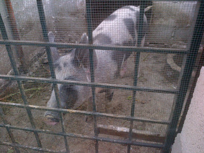 prova.jpg (213.66 KiB) Osservato 676 volte prova.jpg