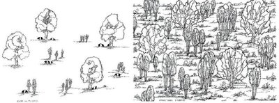 Bosco Spagnolo vs. Bosco Toscano.jpg (62.72 KiB) Osservato 906 volte Bosco Spagnolo vs. Bosco Toscano.jpg