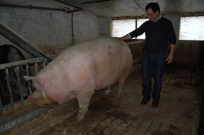 il Coccolone.jpg (94.95 KiB) Osservato 2711 volte il Coccolone.jpg