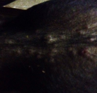 image.jpg (90.33 KiB) Osservato 735 volte image.jpg