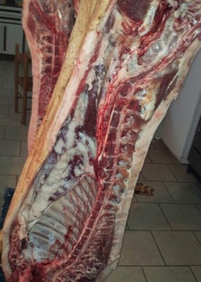 20131221_171312-2.jpg (46.55 KiB) Osservato 789 volte 20131221_171312-2.jpg