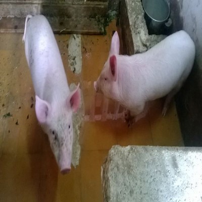 mi.jpg (46.24 KiB) Osservato 540 volte mi.jpg