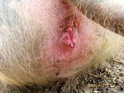 IMG_20140422_104325.jpg (270.11 KiB) Osservato 963 volte IMG_20140422_104325.jpg