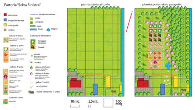 un'anteprima del file dove si vede la situazione / fattoria_Selva sinistra_pianta_progetto_small.jpg fattoria_Selva sinistra_pianta_progetto_small.jpg