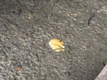 image.jpeg image.jpeg