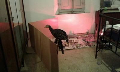 Evita 1.jpg (61.58 KiB) Osservato 739 volte Evita 1.jpg