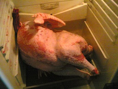 Tacchino.jpg (82.13 KiB) Osservato 3172 volte Tacchino.jpg