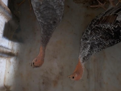 20200726_114710.jpg (47.96 KiB) Osservato 641 volte 20200726_114710.jpg