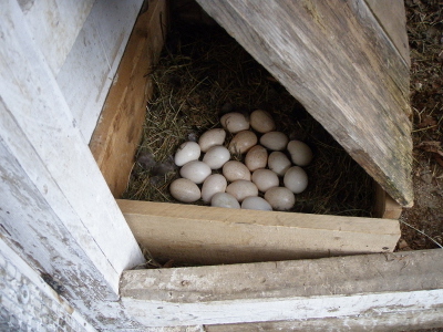 P3270059.JPG P3270059.JPG