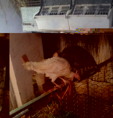 20140511_191956-2.jpg (46 KiB) Osservato 860 volte 20140511_191956-2.jpg