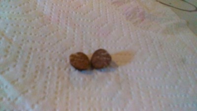 IMG-20161015-WA0000.jpg (41.39 KiB) Osservato 1188 volte IMG-20161015-WA0000.jpg